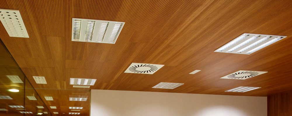 Ceiling Work
